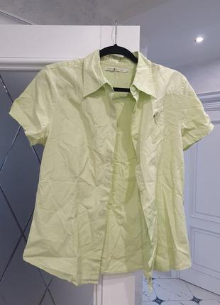 Стильна жіноча котонова сорочка оригінал