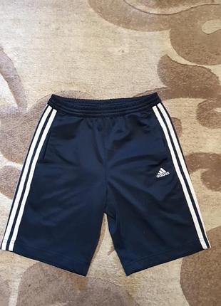 Шорти adidas оригінал