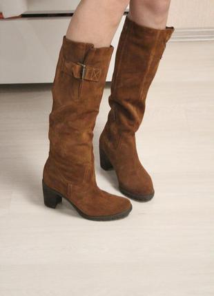 Замшевые демисезонные сапоги на каблуке 36 размер натуральный замш