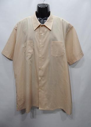 Мужская рубашка с коротким рукавом haband оригинал р.62 (009кр) батал(только в указанном размере, только 1 шт)
