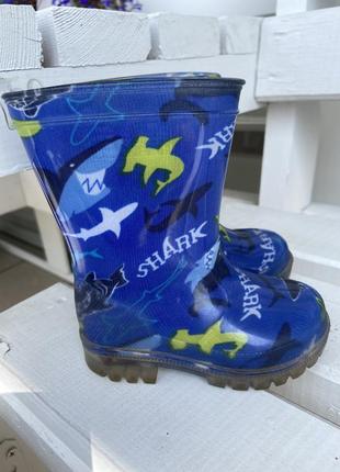 Резиновые сапожки