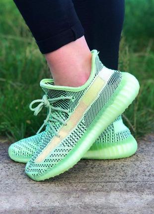 Кроссовки adidas yeezy 3504 фото