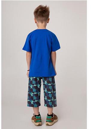 Комплект шорты и футболка для мальчика 102823 фото