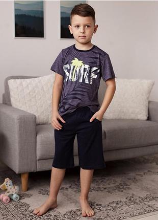Комплект шорты и футболка для мальчика 102563 фото
