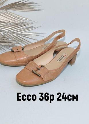 Новые босоножки туфли ecco