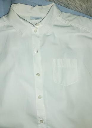 Стильная рубашка,блуза bogner4 фото
