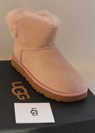 Сапоги ugg classic bling mini, ausa--5--eu--35-36--стелька 22 см1 фото