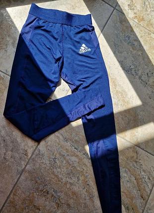 Лосины adidas tf long tight( размер xs и s ) оригинал
