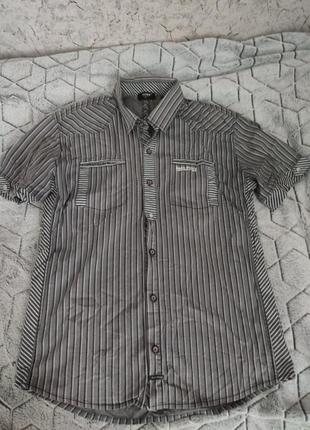 Тенниска мужская коттон м