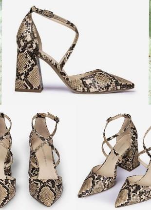 Босоніжки туфлі слінгбеки квадратний каблук принт пітон 🐍 зміїний від dorothy perkins10 фото