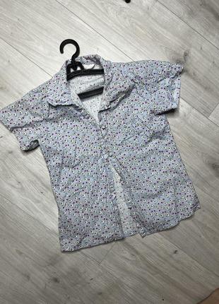 Рубашка в принт воробушки 🐦