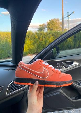 Кроссовки nike sb dunk low concepts orange lobster