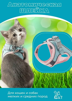 Шлейка анатомічна та повідець 150 см kafuli pet collection для собак і кішок 3-15 кг xxs рожевий