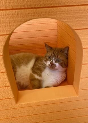 Вуличний будиночок для кота. будка для собачки. теплий будиночок для тваринок.5 фото