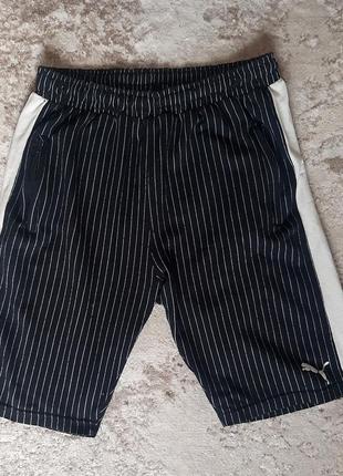 Шорти чоловічі штани-смужка 2xl