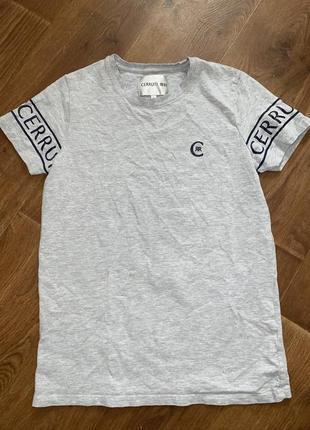 Сіра бавовняна футболка cerruti оригинал серая хлопковая футболка базовая футболка2 фото