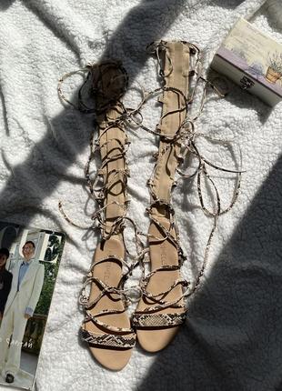 Босоножки с переплетами на шнуровке высокие гладички в змеиный принт сандалии6 фото