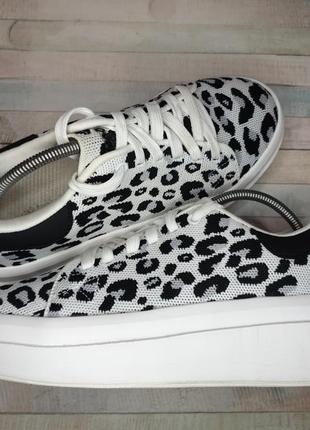 Кроссовки cuccoo