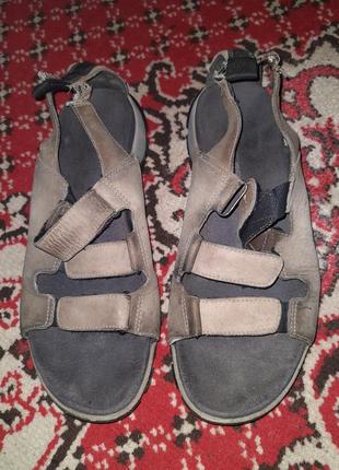 Мужские сандали кларкс