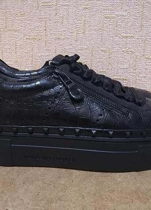 Кросiвки kennel &amp; schmenger hot