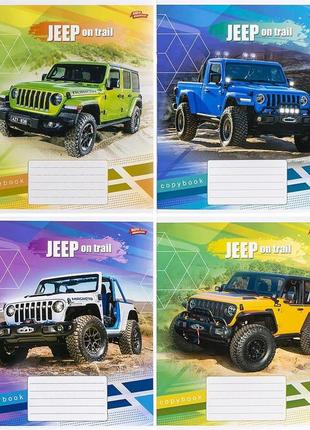 Тетрадь школьная мрії збуваються 12л в клетку арт. 3495