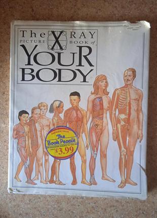 Your body. атлас человека. анатомия человека.
