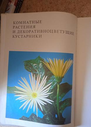 Книга квітів. кімнатні рослини та чагарники, що вирують.8 фото