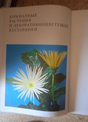 Книга квітів. кімнатні рослини та чагарники, що вирують.2 фото