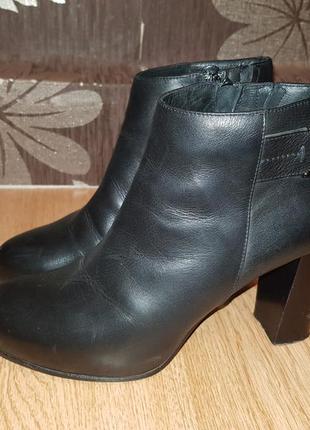 Стильні ботільйони , черевички , ботінкі шкіряні