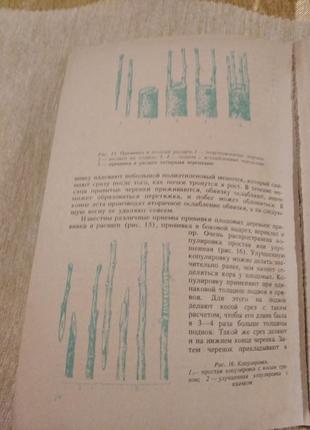 Яблуня у вашому саду гусева та ін. 1991 книга садівника поради садівника4 фото