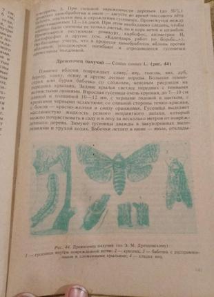 Яблуня у вашому саду гусева та ін. 1991 книга садівника поради садівника3 фото