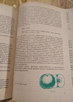 Яблоня в вашем саду гусева и.н. 1991 книга садовода советы садовнику8 фото