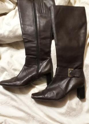 Сапоги деми кожа roberto vianni