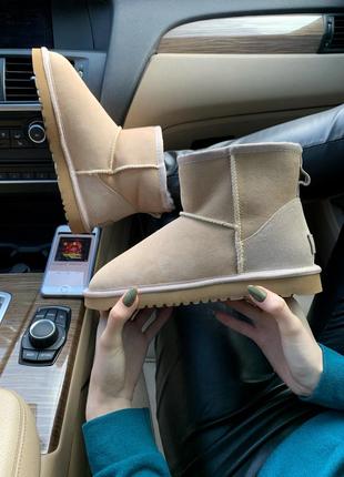 Зимние сапоги ugg mini light brown с мягким мехом /осень/зима/весна😍