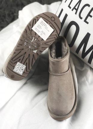 Шикарные  ugg mini ash metallic с густым мехом  /осень/зима/весна😍6 фото