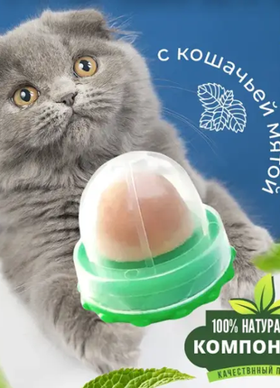 Кошачья конфета. лакомство для кошек с кошачьей мятой и витаминами.