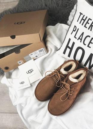 Теплые и стильные меховые ботинки ugg neumel brown /осень/зима/весна😍3 фото