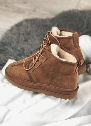Теплые и стильные меховые ботинки ugg neumel brown /осень/зима/весна😍4 фото
