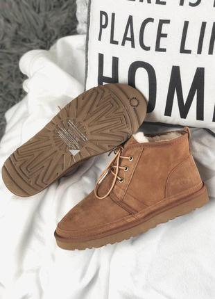 Теплые и стильные меховые ботинки ugg neumel brown /осень/зима/весна😍5 фото