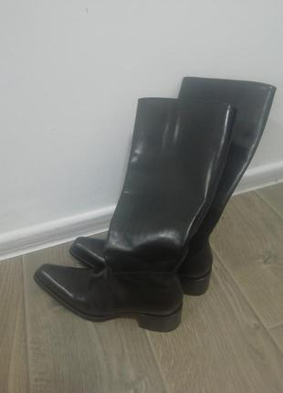 Чоботи gianni barbato