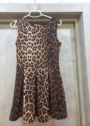 Дуже крута ,фірменна коротка сукня в тигровий принт5 фото