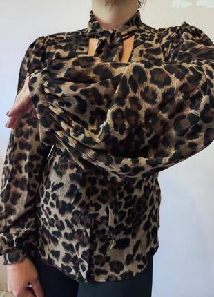 Леопардовая блуза l5 фото