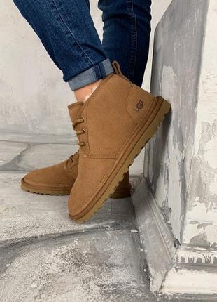 💥чоловічі черевики ugg ginger💥зимові коричневі уггі/угі замшеві з хутром.