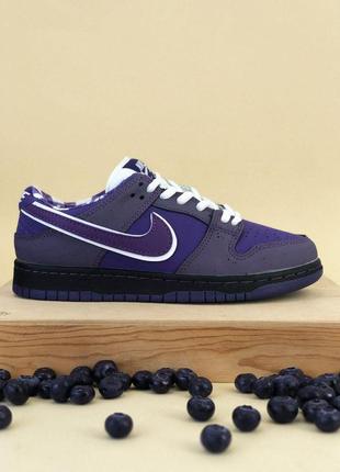 Кроссовки nike sb dunk low purple lobster, кеды