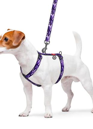 Шлея для собак анатомическая waudog nylon с qr паспортом, рисунок "фиолетовый камо", размер s, ширина 15 мм3 фото