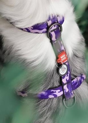 Шлея для собак анатомическая waudog nylon с qr паспортом, рисунок "фиолетовый камо", размер s, ширина 15 мм4 фото