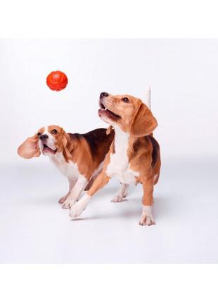 Liker 5 - м'ячик для цуценят і собак дрібних порід6 фото