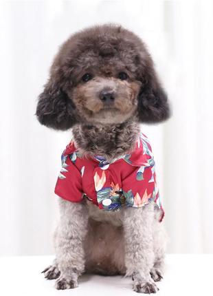Сорочка для собак у гавайському стилі червона s5 фото