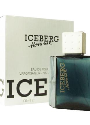 Iceberg homme туалетная вода 100мл