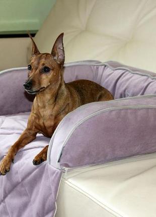 Диванний лежак для собак та котів sofa bed powder9 фото